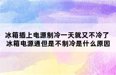 冰箱插上电源制冷一天就又不冷了 冰箱电源通但是不制冷是什么原因